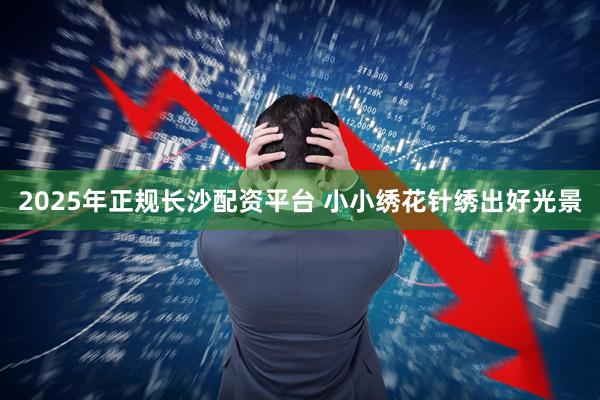2025年正规长沙配资平台 小小绣花针绣出好光景