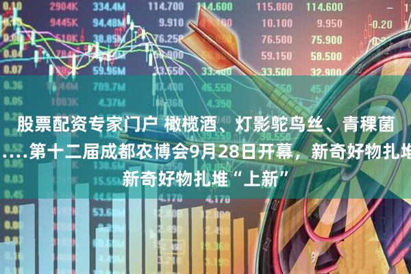 股票配资专家门户 橄榄酒、灯影鸵鸟丝、青稞菌汁酱油……第十二届成都农博会9月28日开幕，新奇好物扎堆“上新”