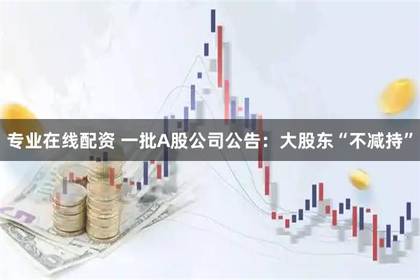 专业在线配资 一批A股公司公告:大股东“不减持”